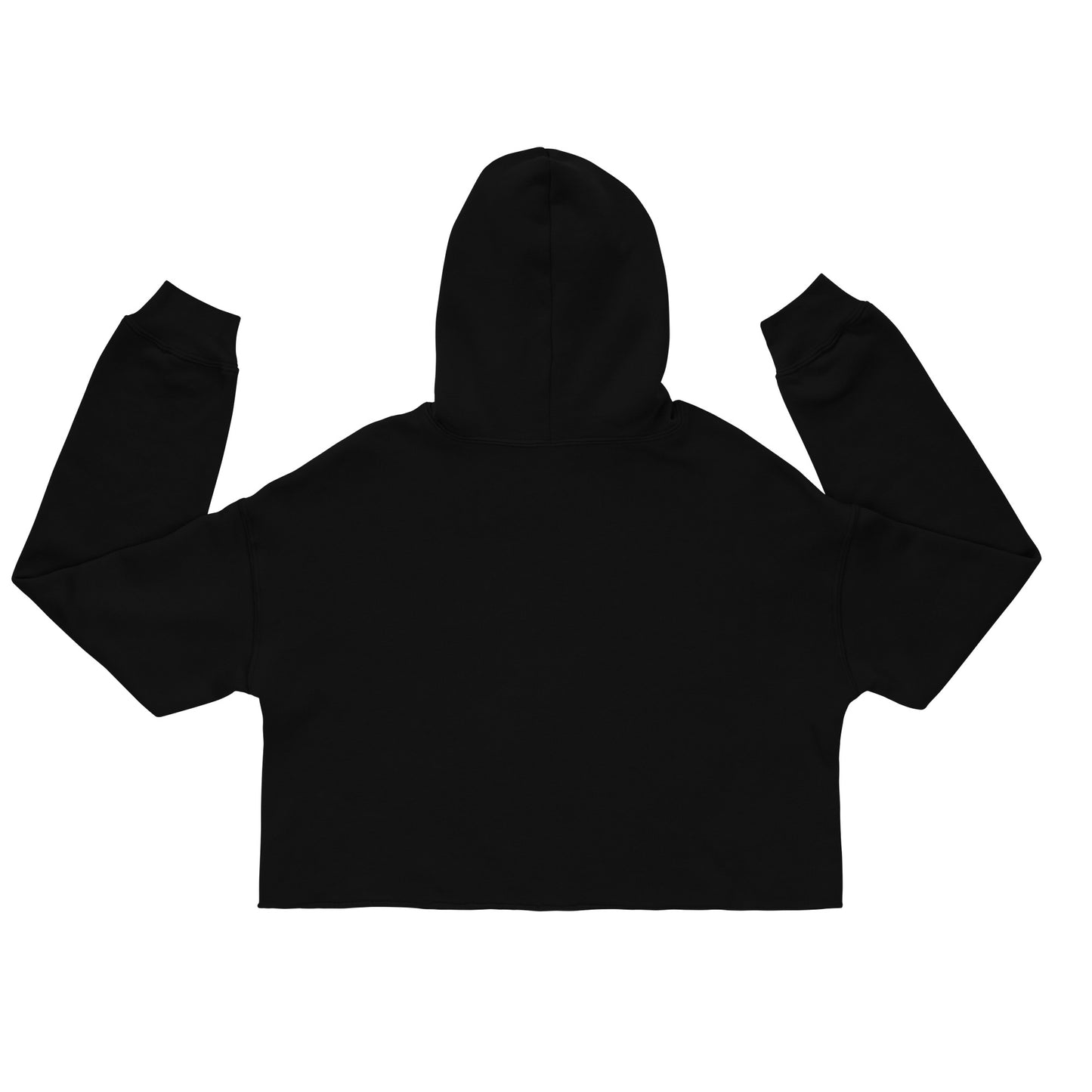Protect Women’s Right to Bear Arms Crop Hoodie