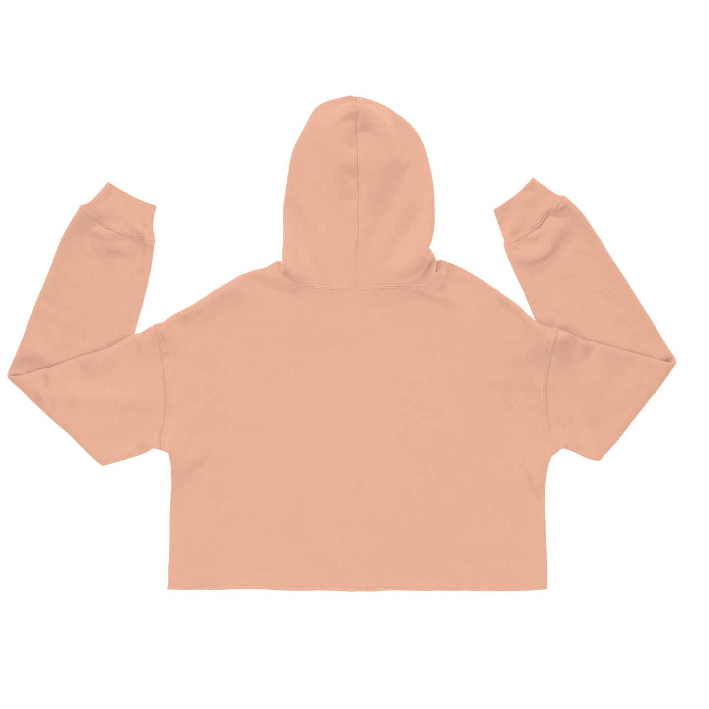 Protect Women’s Right to Bear Arms Crop Hoodie