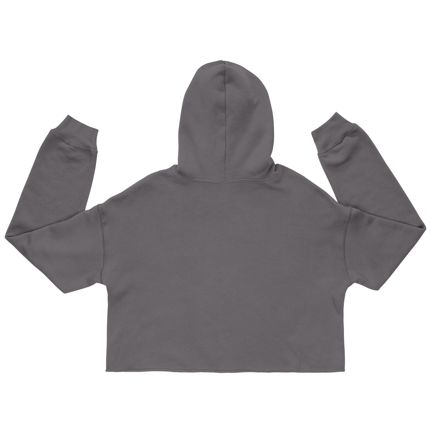 Protect Women’s Right to Bear Arms Crop Hoodie